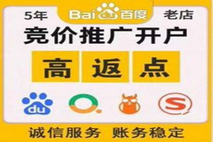 成功SEM搜索引擎优化案例，揭秘优化秘籍