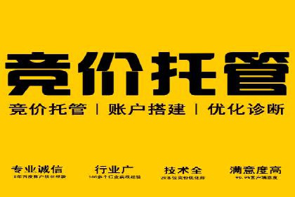 SEM托管代运营助力企业增长案例